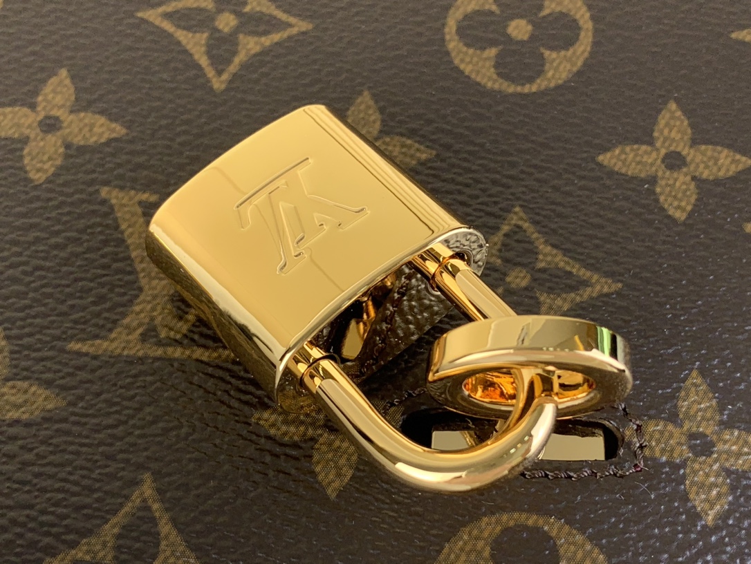Louis Vuitton HIDE AWAY 手袋lv,包 6