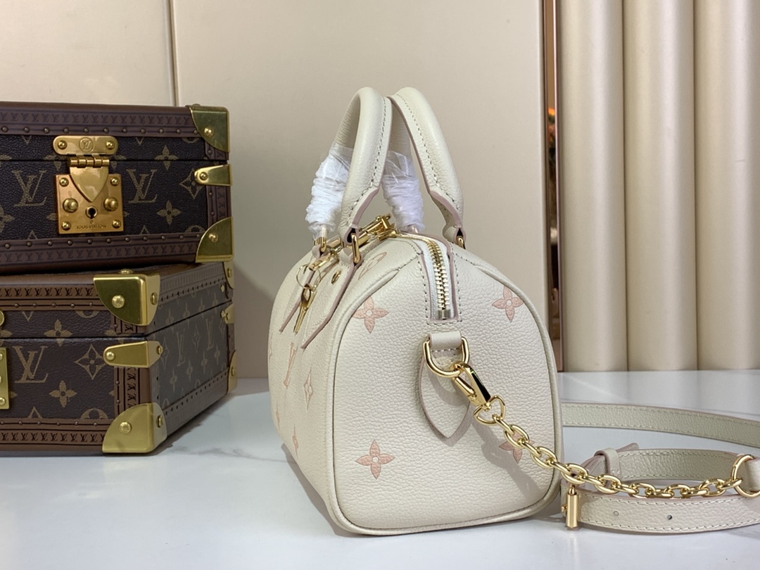 Louis Vuitton Speedy 手袋lv,包 2