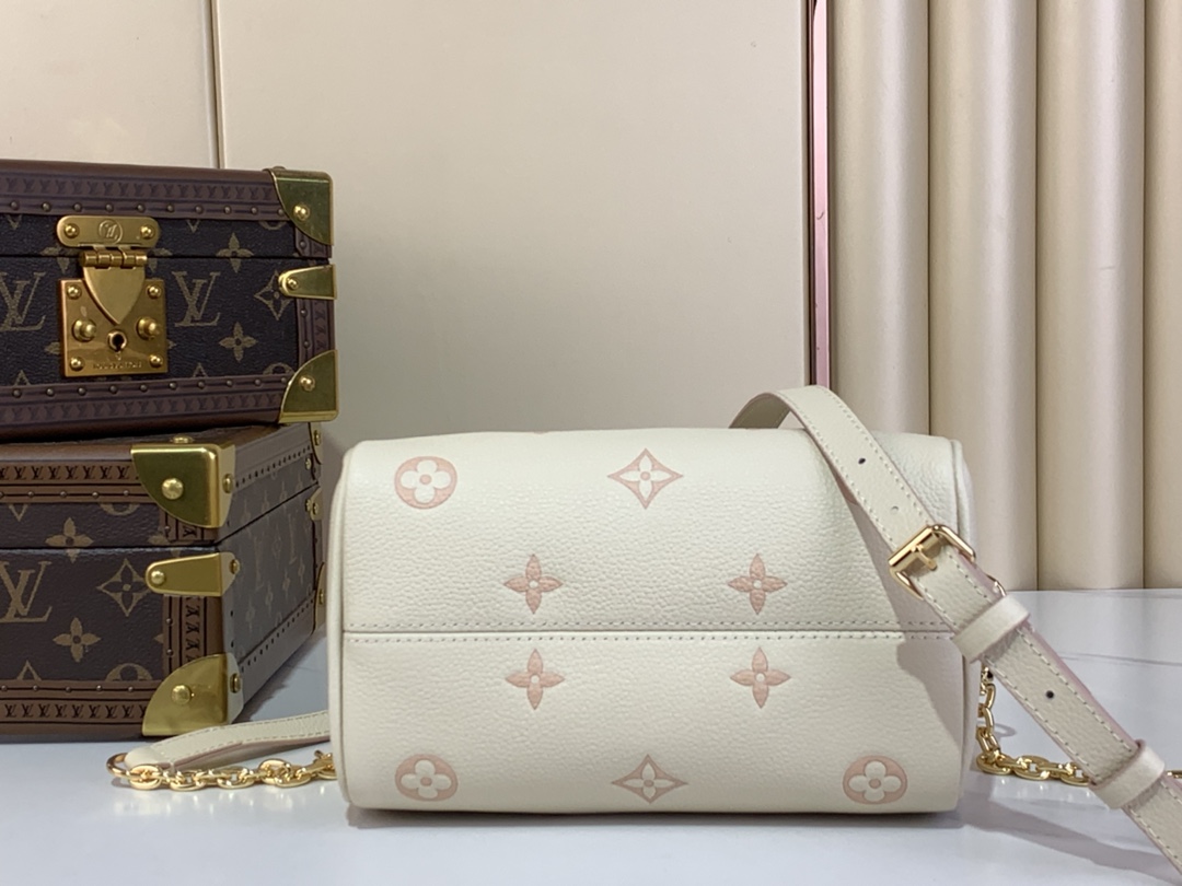 Louis Vuitton Speedy 手袋lv,包 4