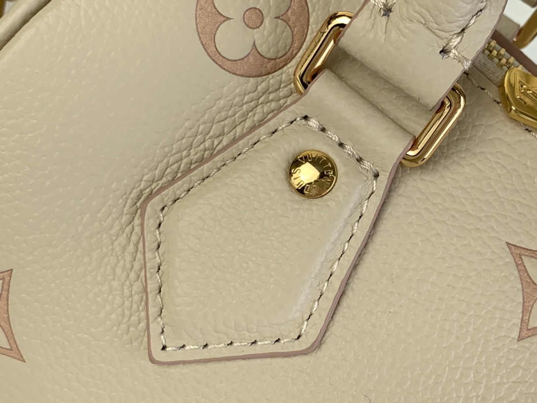 Louis Vuitton Speedy 手袋lv,包 5