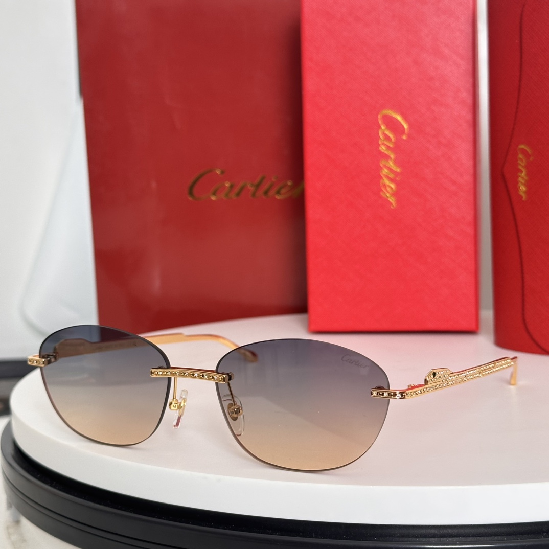  ‼️Cartie*卡家 ✨CT0486S Size：60口18-140 不挑脸型 简约大气 时尚休闲镜