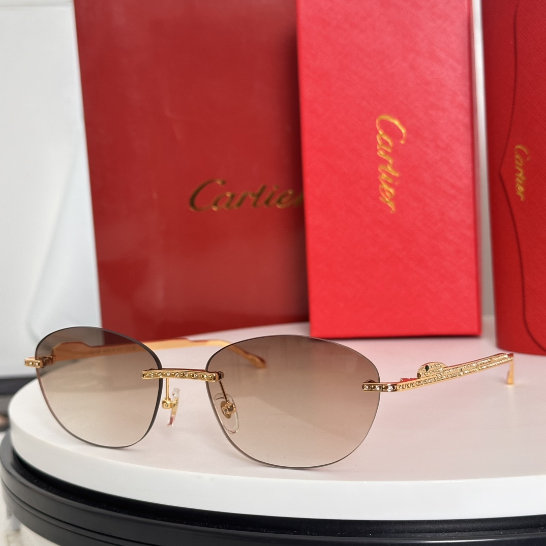 ‼️Cartie*卡家 ✨CT0486S Size：60口18-140 不挑脸型 简约大气 时尚休闲镜
