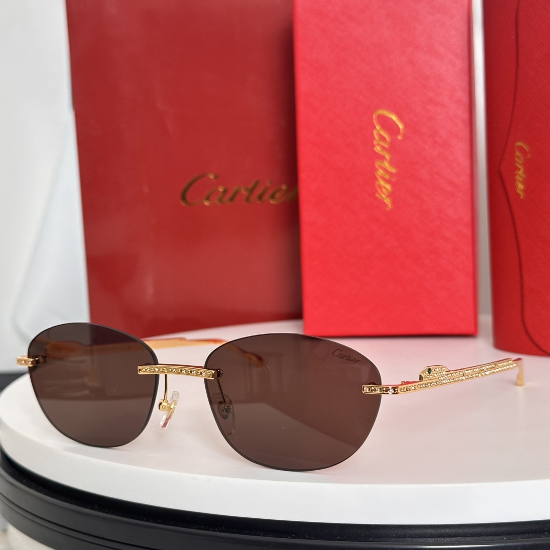  ‼️Cartie*卡家 ✨CT0486S Size：60口18-140 不挑脸型 简约大气 时尚休闲镜