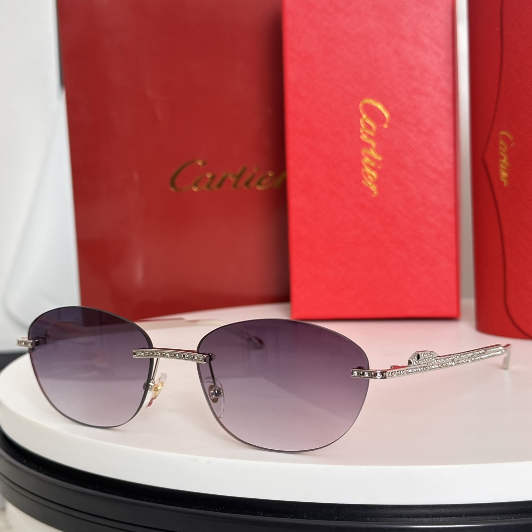 ‼️Cartie*卡家 ✨CT0486S Size：60口18-140 不挑脸型 简约大气 时尚休闲镜