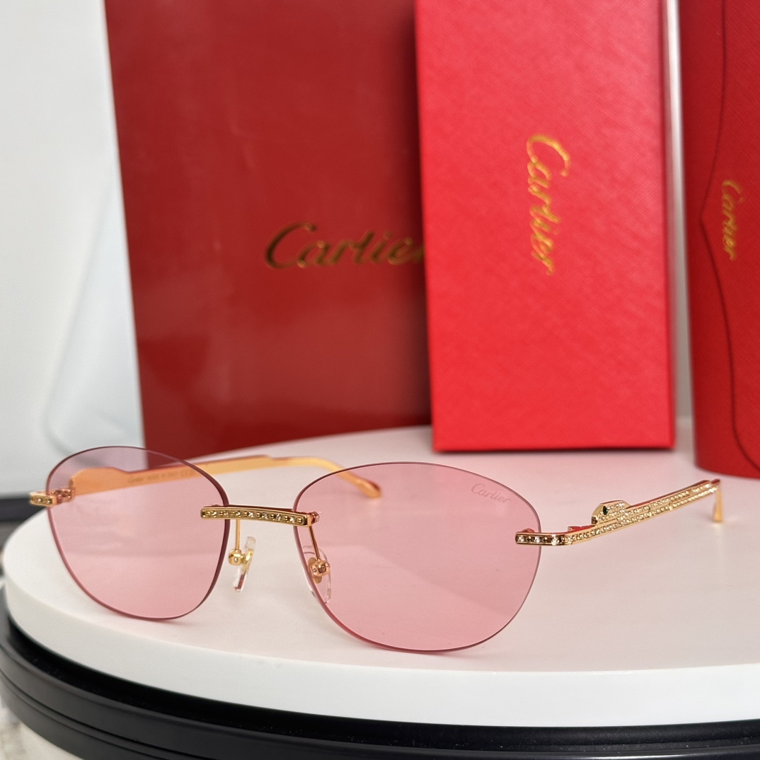  ‼️Cartie*卡家 ✨CT0486S Size：60口18-140 不挑脸型 简约大气 时尚休闲镜