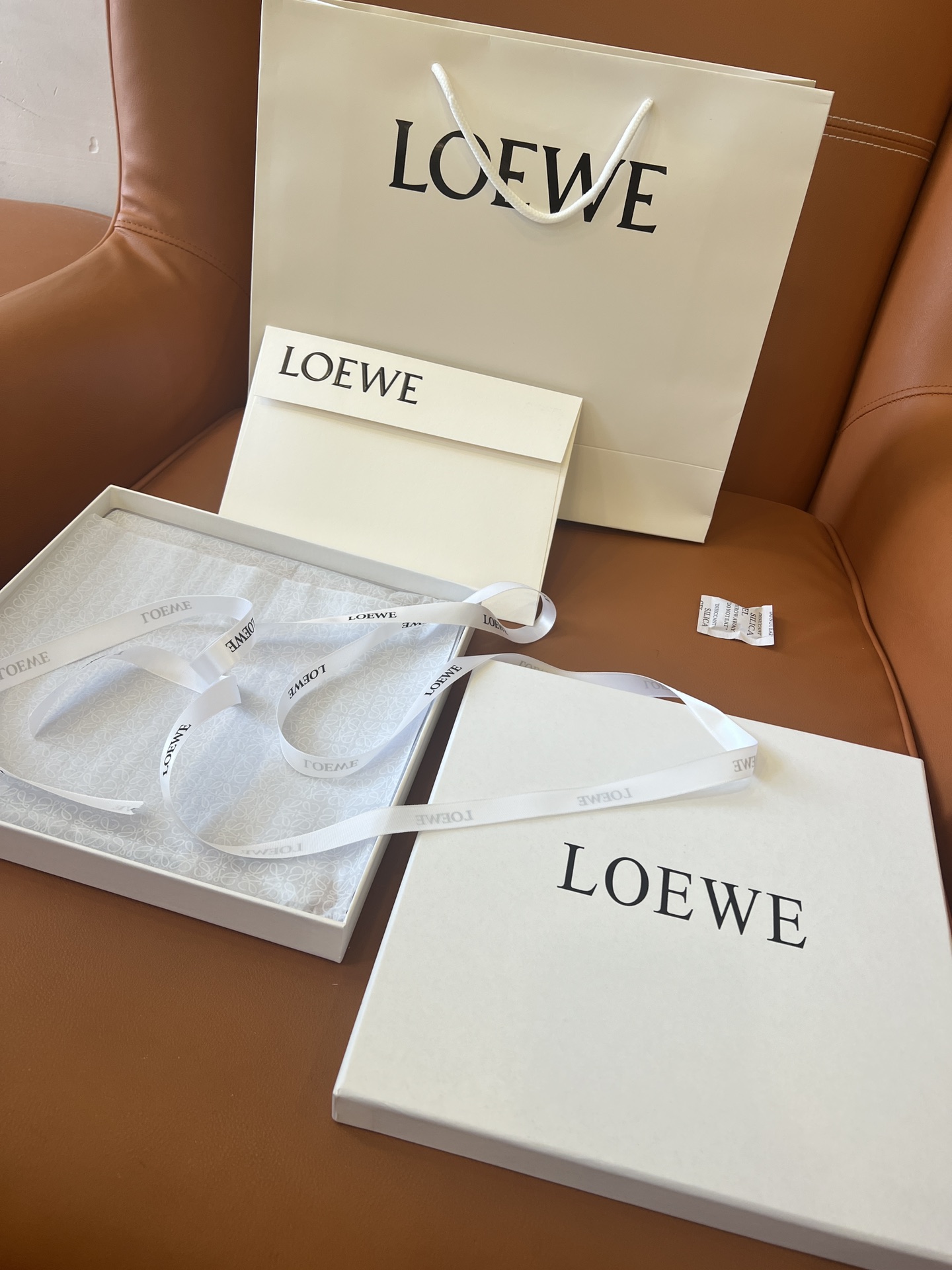 [Loewe Scarves]packaging Details