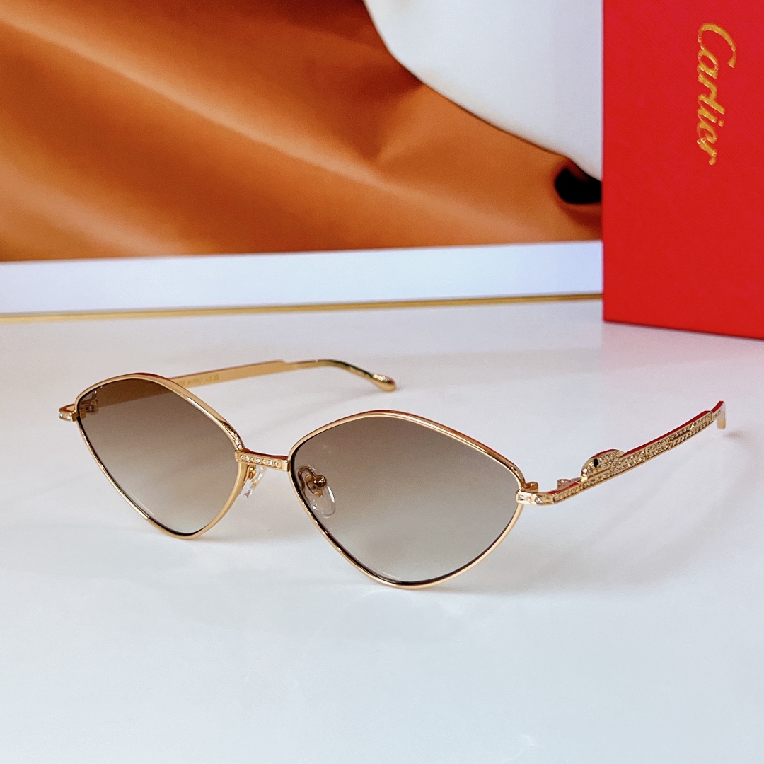  Cartier
MOD：CT0489S
Size：60口15 140
🔝🔝