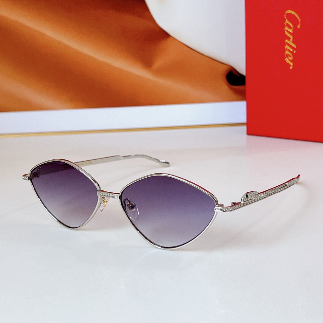  Cartier
MOD：CT0489S
Size：60口15 140
🔝🔝