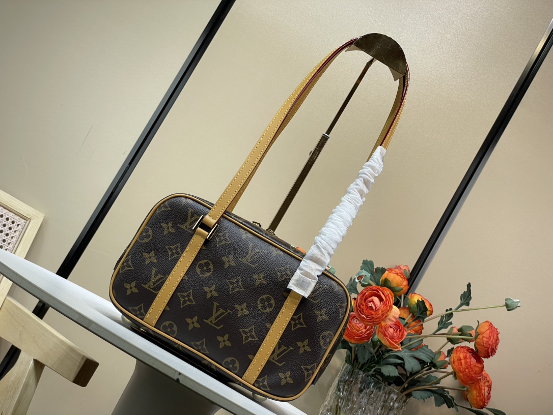 Louis Vuitton Vintage Cite 相机包lv,包 2