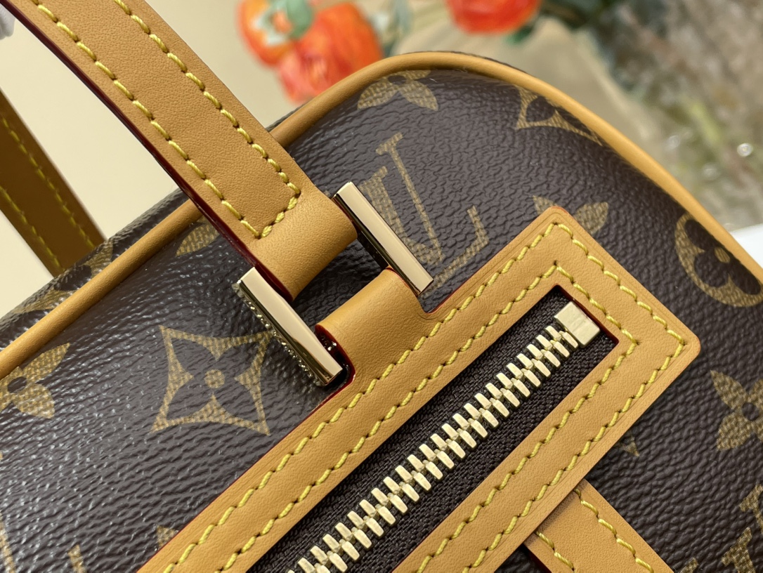 Louis Vuitton Vintage Cite 相机包lv,包 7