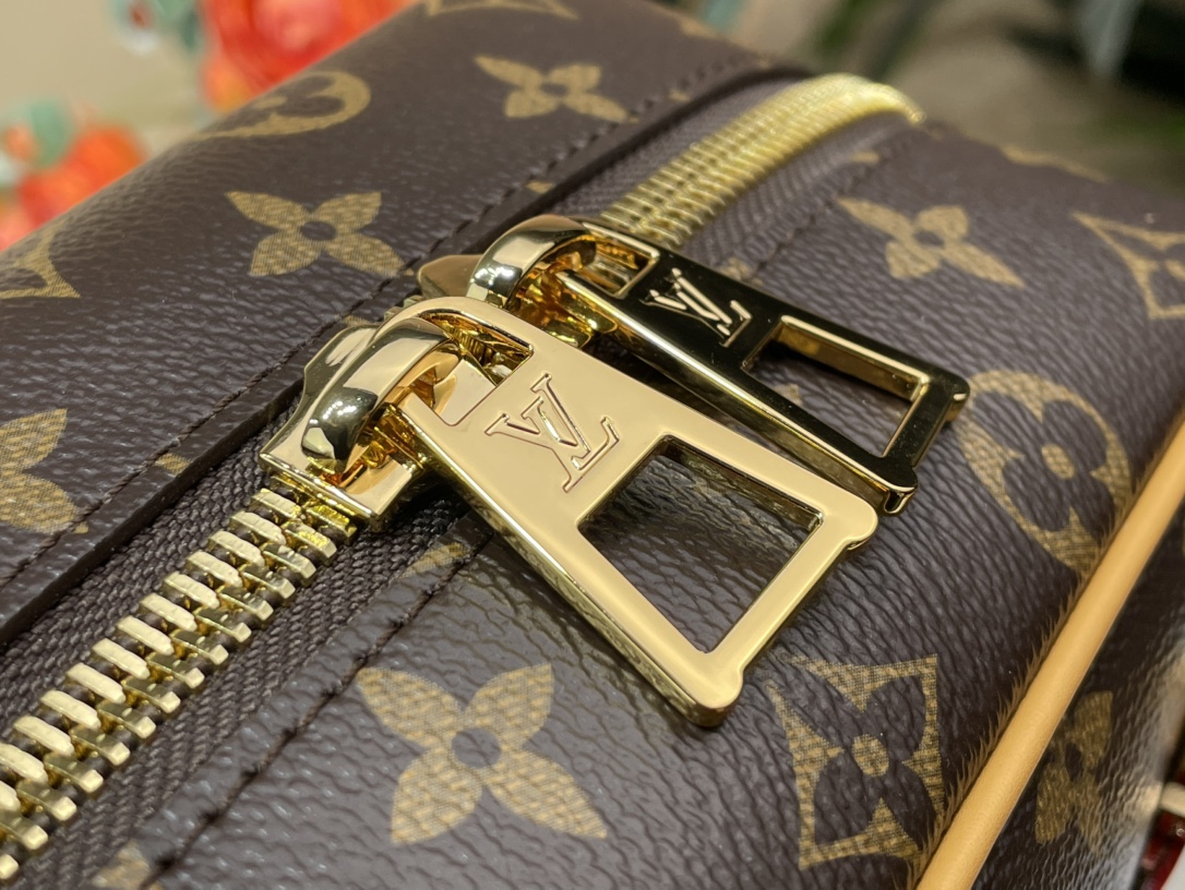 Louis Vuitton Vintage Cite 相机包lv,包 5