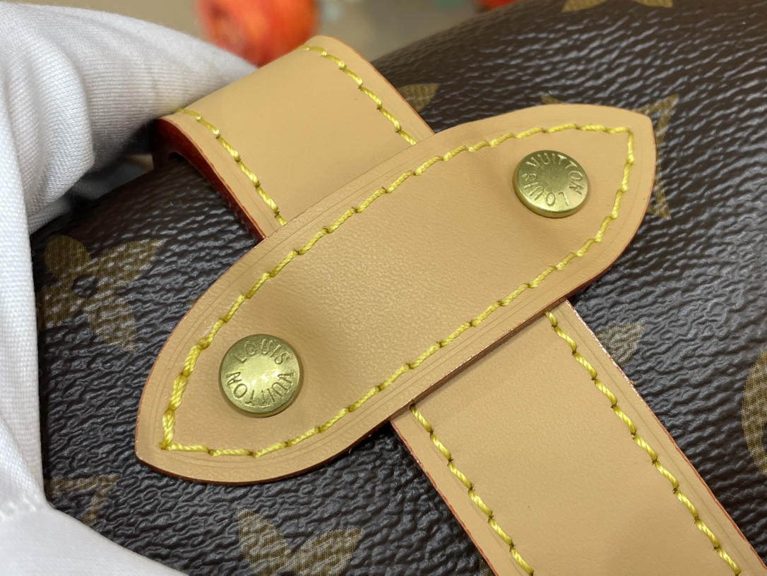 Louis Vuitton Saumur 手袋lv,包,女 5