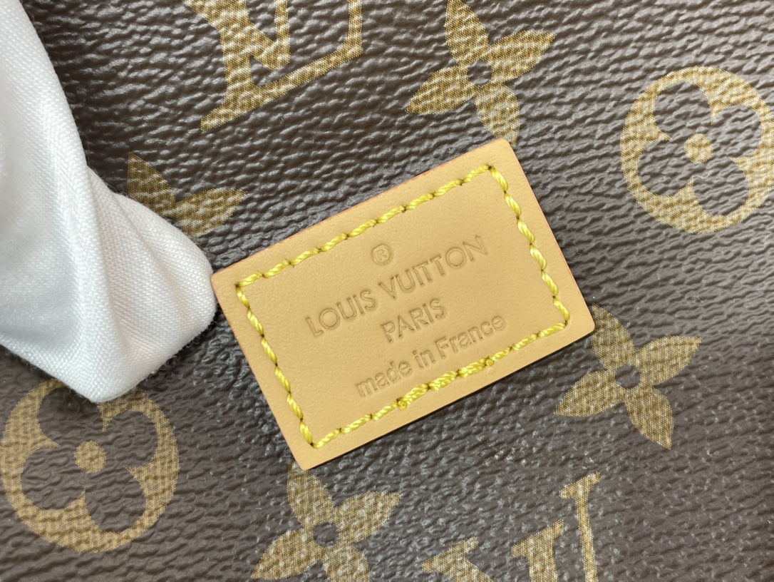 Louis Vuitton Saumur 手袋lv,包,女 9