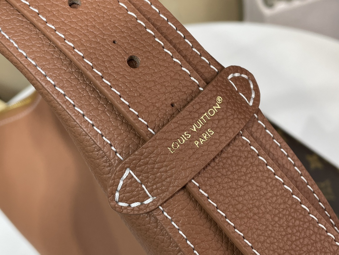 Louis Vuitton Low Key Cookie 手袋lv,包 7