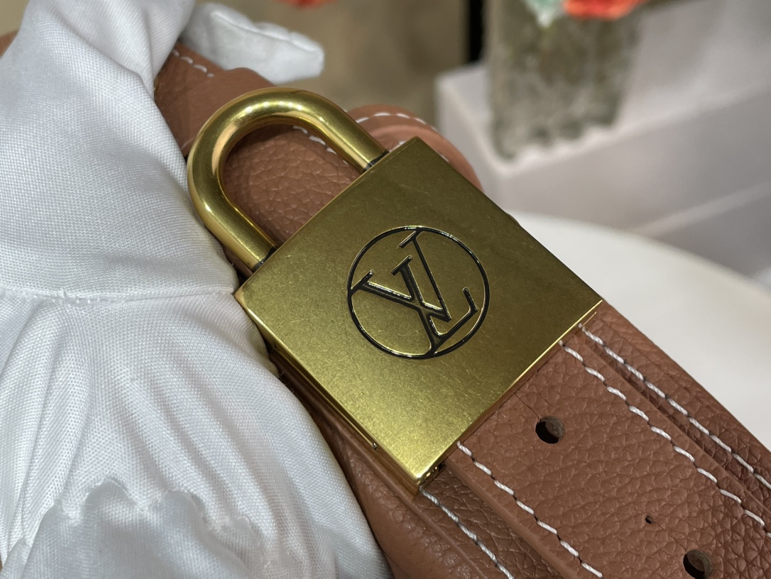 Louis Vuitton Low Key Cookie 手袋lv,包 6