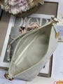 Diorrstar Hobo Chain Bag White Lambskin Leather, Adjustable CD Chain Shoulder Strap 7 i1747635909 1004 7