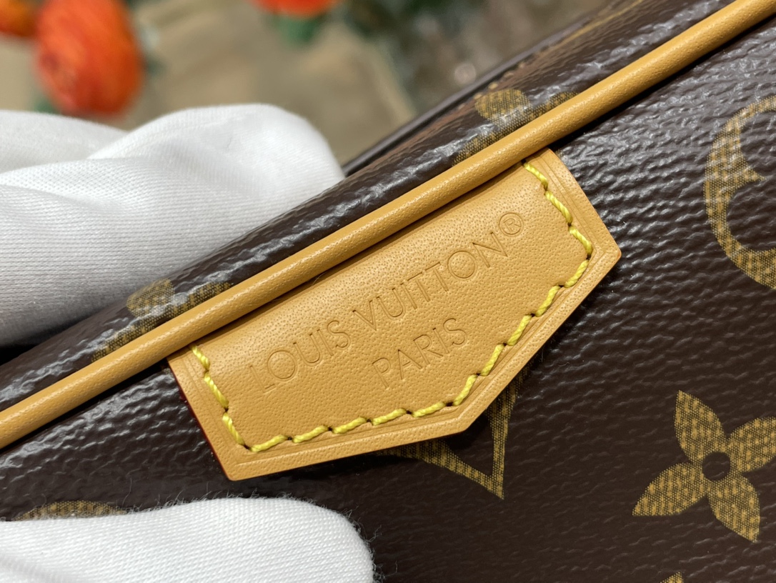 Louis Vuitton Trocadéro 手袋lv,包 5