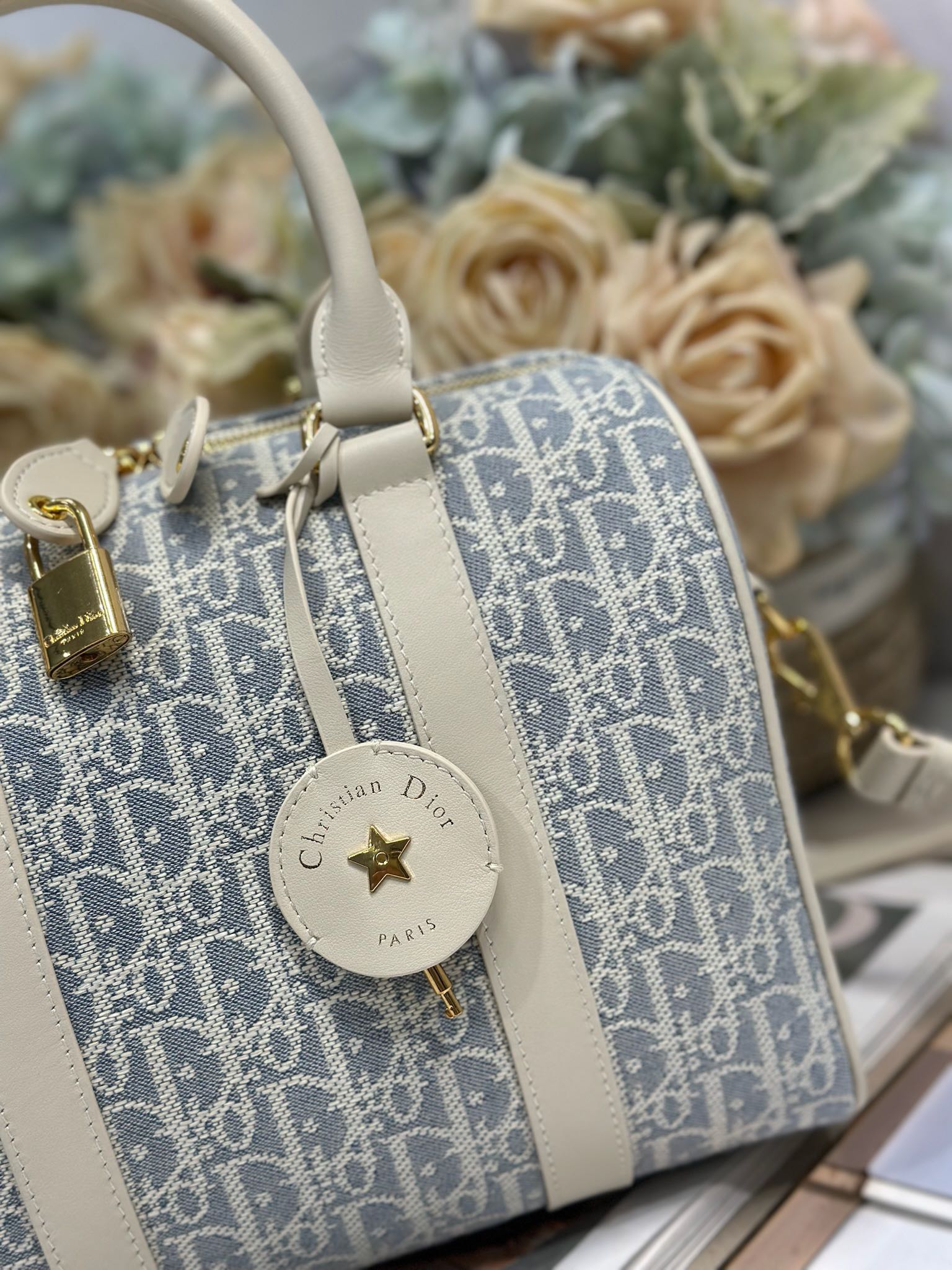 Dior Groove 25 Handbag: Gray Dior Oblique Canvas, Adjustable Strap 5 i1747977682 1686 4