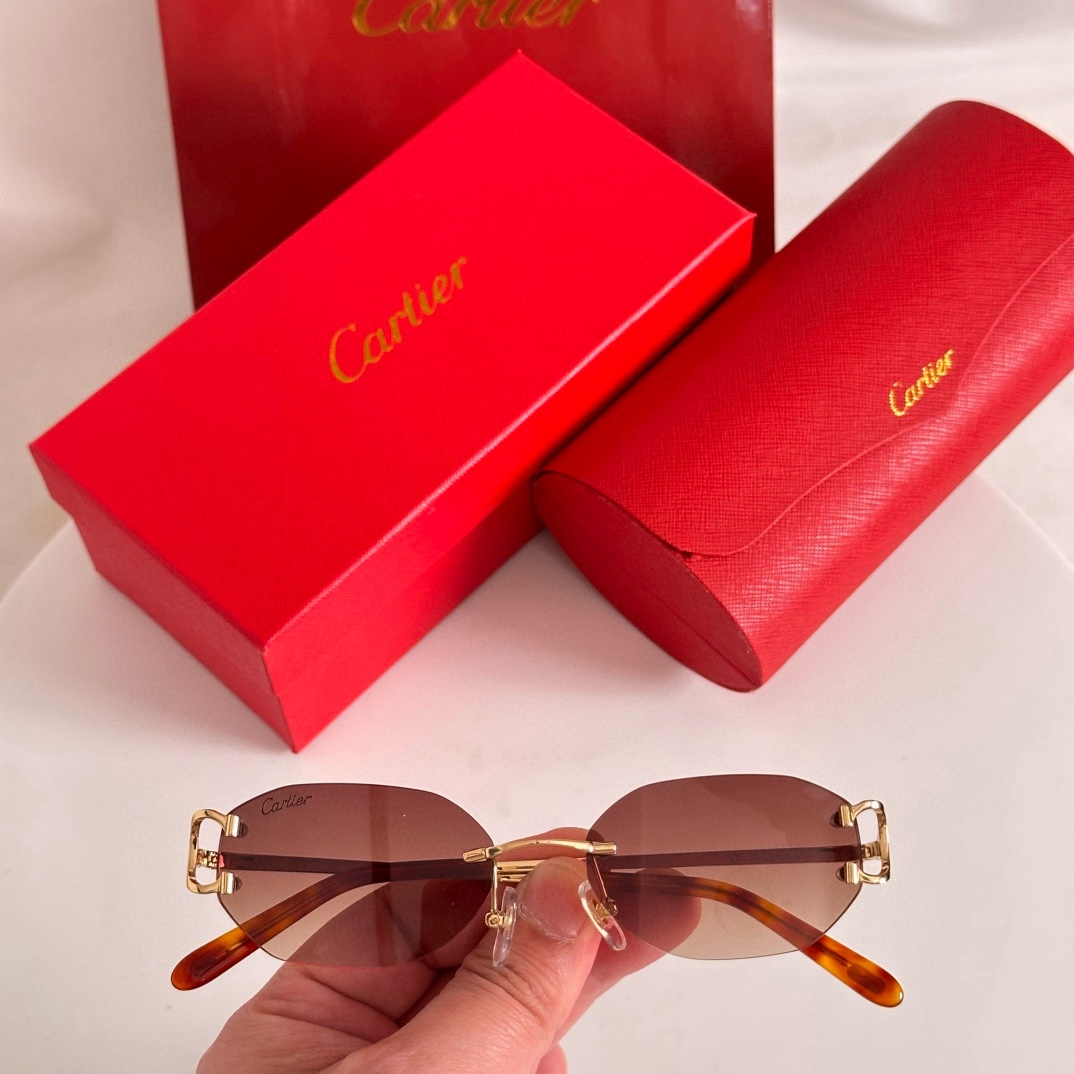  变色片‼️Cartie*
MODEL：CT0029RS
SIZE：54口17-140