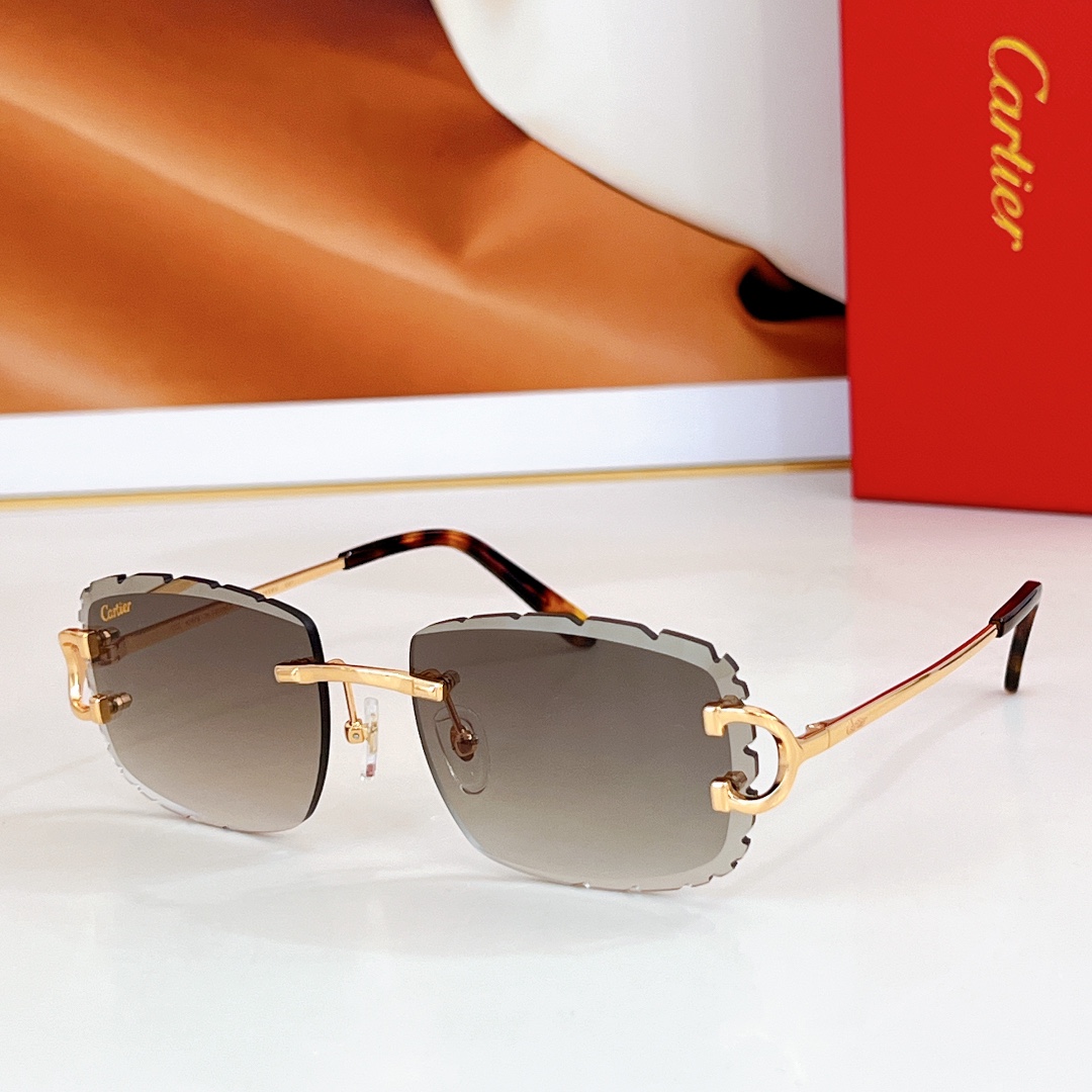  Cartier
MOD：CT0092O
Size：55口18 135
🔝🔝