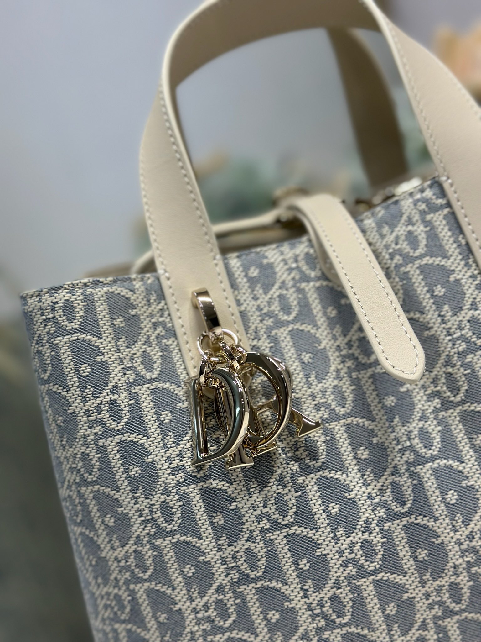 Dior Toujours Vertical Bag: Gray Oblique Jacquard, Medium Size, Detachable Strap 4 i1748573422 6993 2