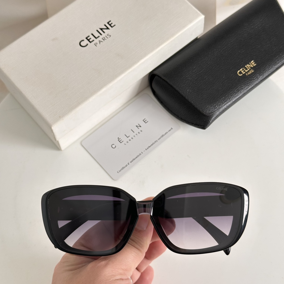 CELINE Sunglasses Acetate Black Square Frame