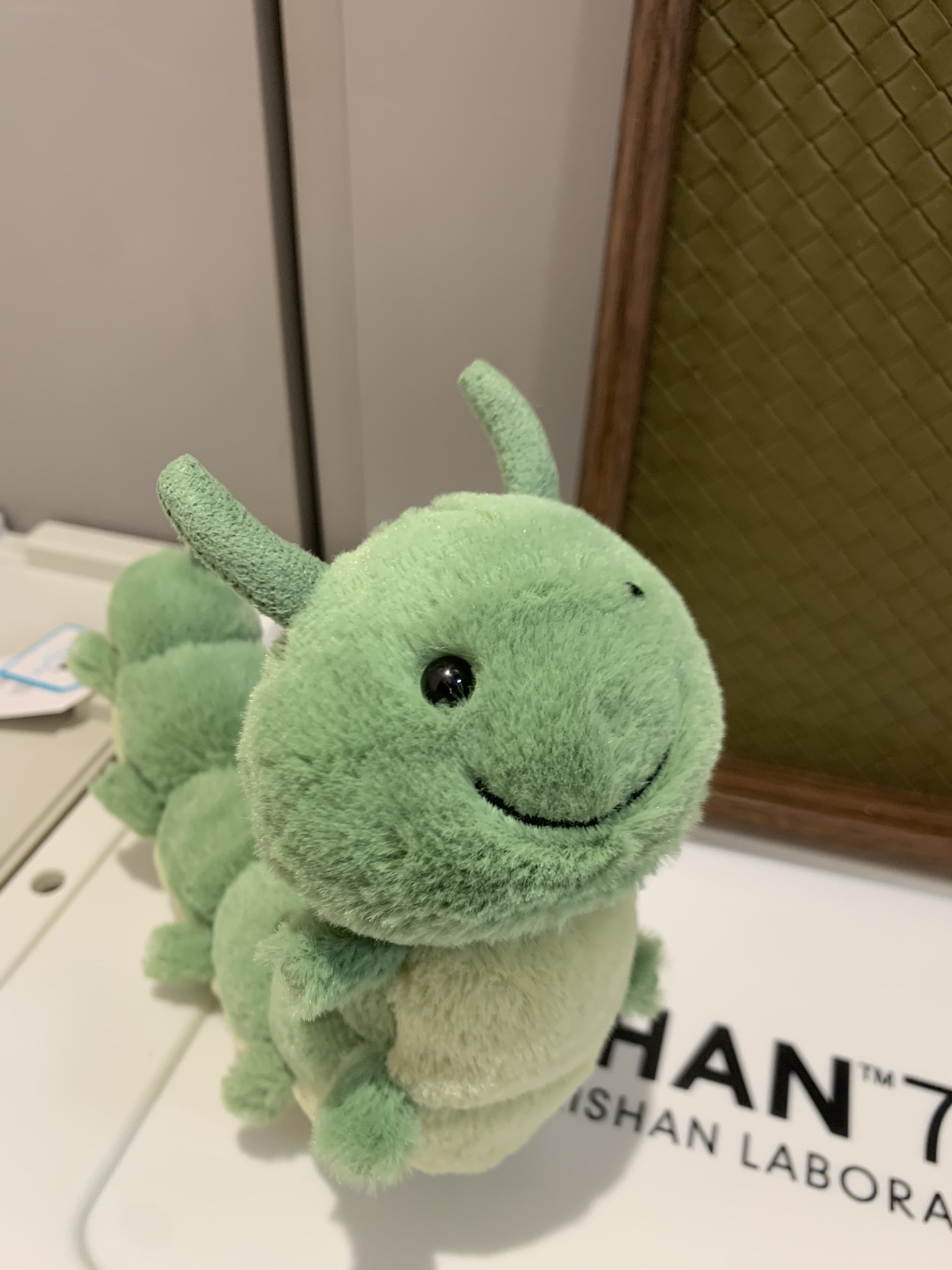 NO:809890,Super lifelike. It’s perfect for children. There are particles at the bottom and can stand up. It’s a trendy department store Jellycat doll.19860909超逼真 送给小朋友太合适啦～下边有颗粒 可以站立,潮品百货Jellycat公仔,accessory