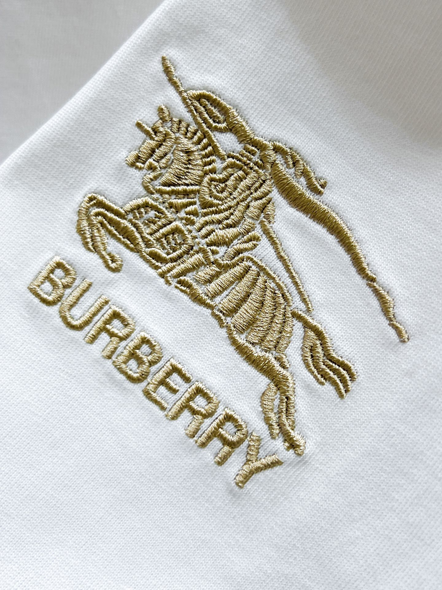 P260  巴宝莉  Burberry  2025ss夏季新款 休闲 短袖 短裤 套装，高端版本！专柜定制面料 透气舒适度高，细节无可挑剔，品牌元素设计理念，体现高品质。手感细腻柔软！呈现休闲裁剪，上身版型超赞！🐯码数：M-3XL