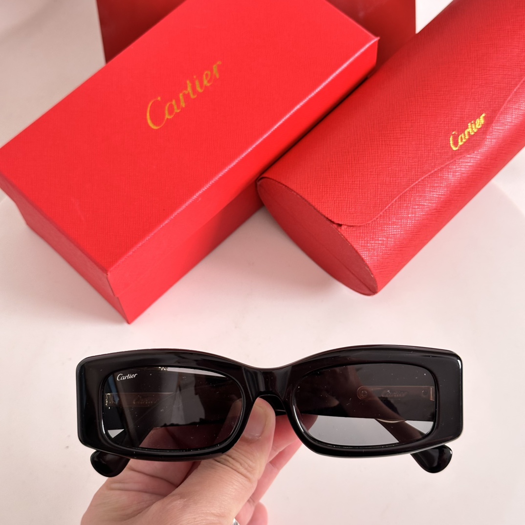 Cartier Sunglasses Black Acetate Rectangular