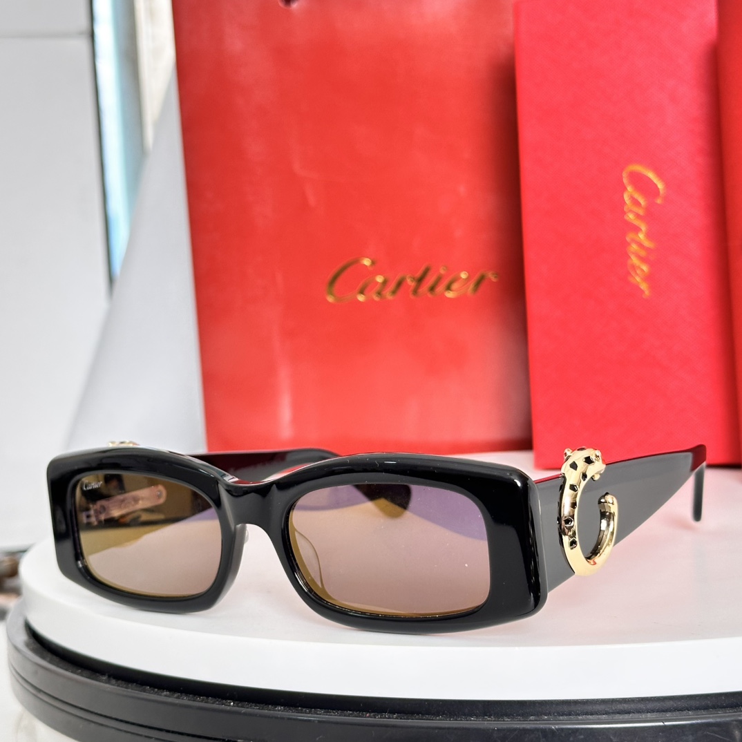 Cartier Sunglasses Acetate Rectangular Black