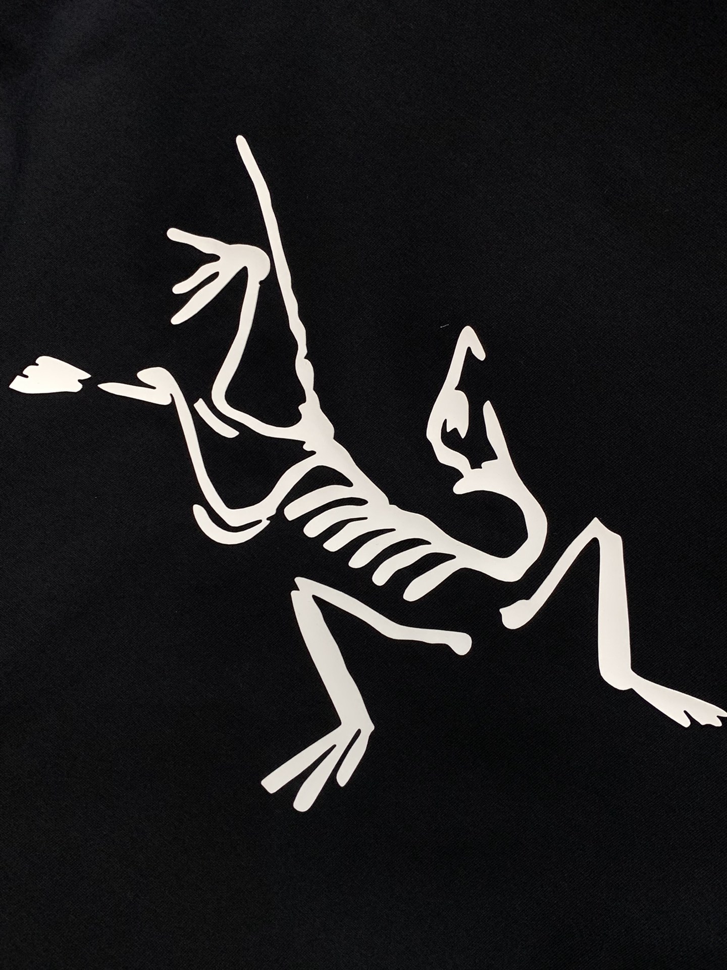 2025 Summer Fashion: Arcteryx Original Birds Collection and Stylish Clothing Options - 图片 7