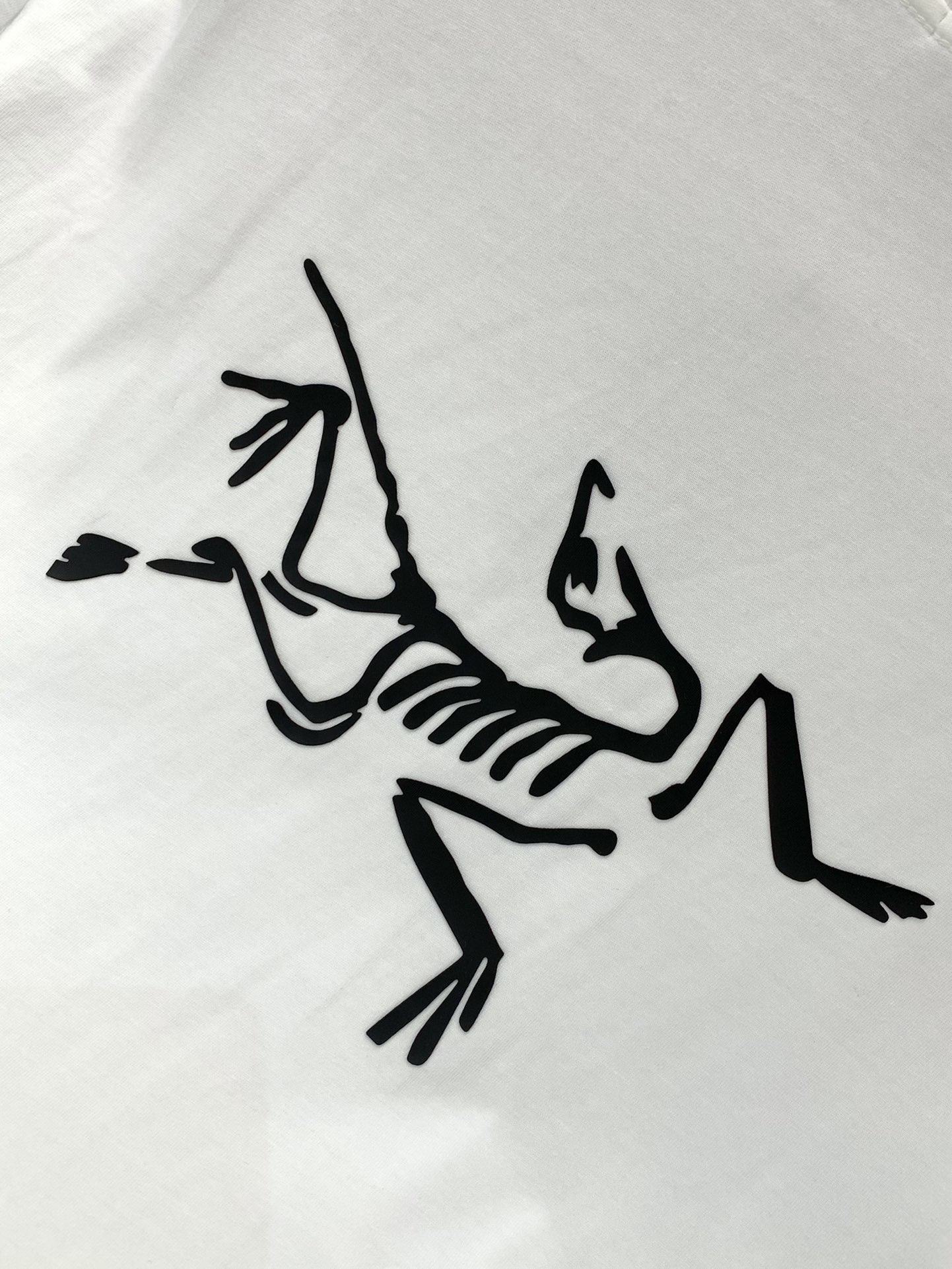 2025 Summer Fashion: Arcteryx Original Birds Collection Highlights Stylish Vision - 图片 7