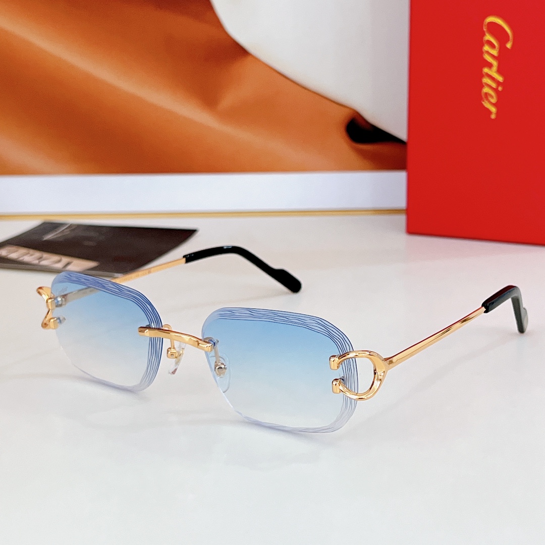 Cartier Modelo: CT0733S Talla: 58口17-145 🉐175