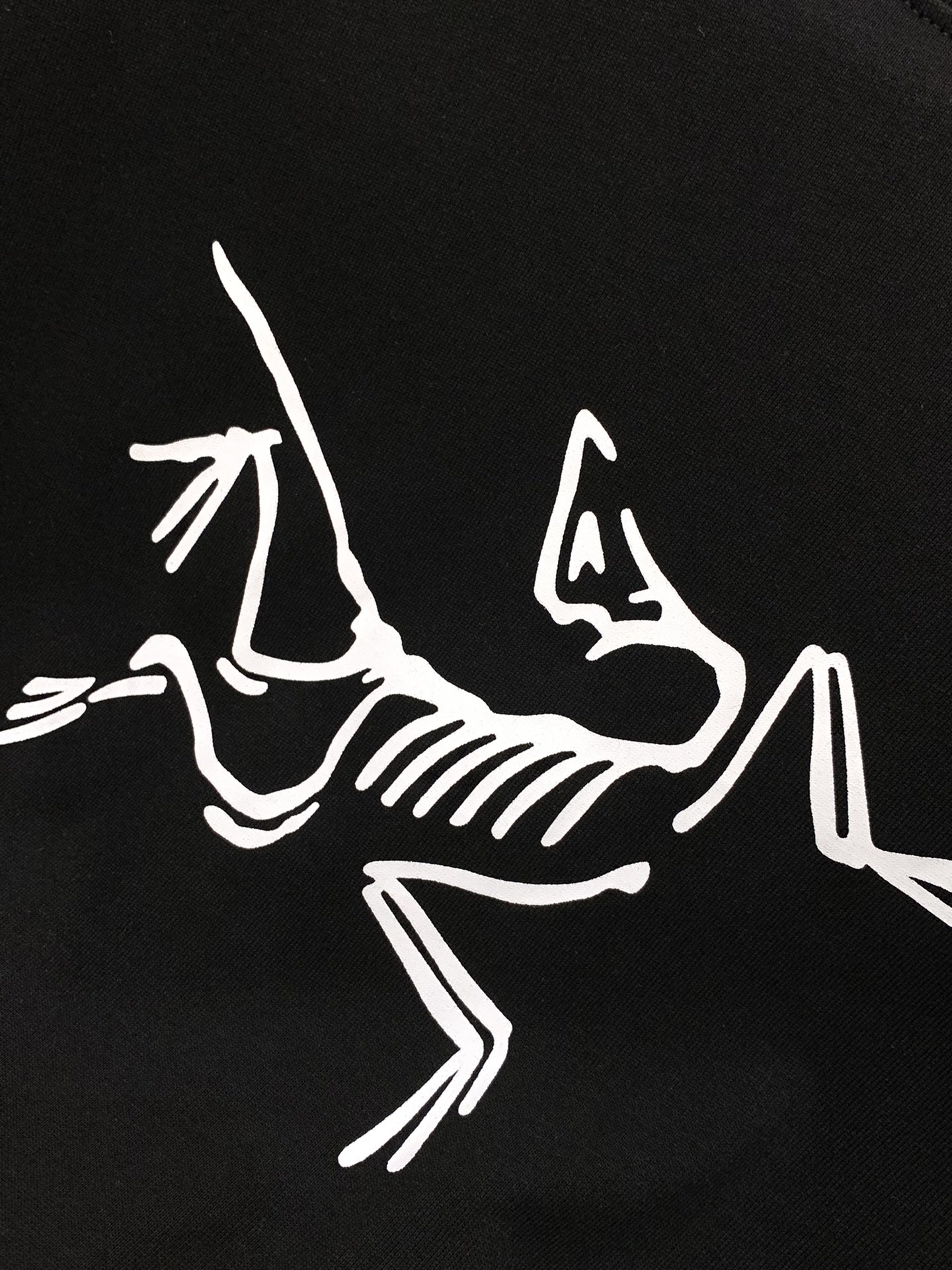 “ARCTERYX Original Bird Long-Sleeve T-Shirts 2025 Collection: Stylish, Elegant, and Expensive Fashion Statement” - 图片 6