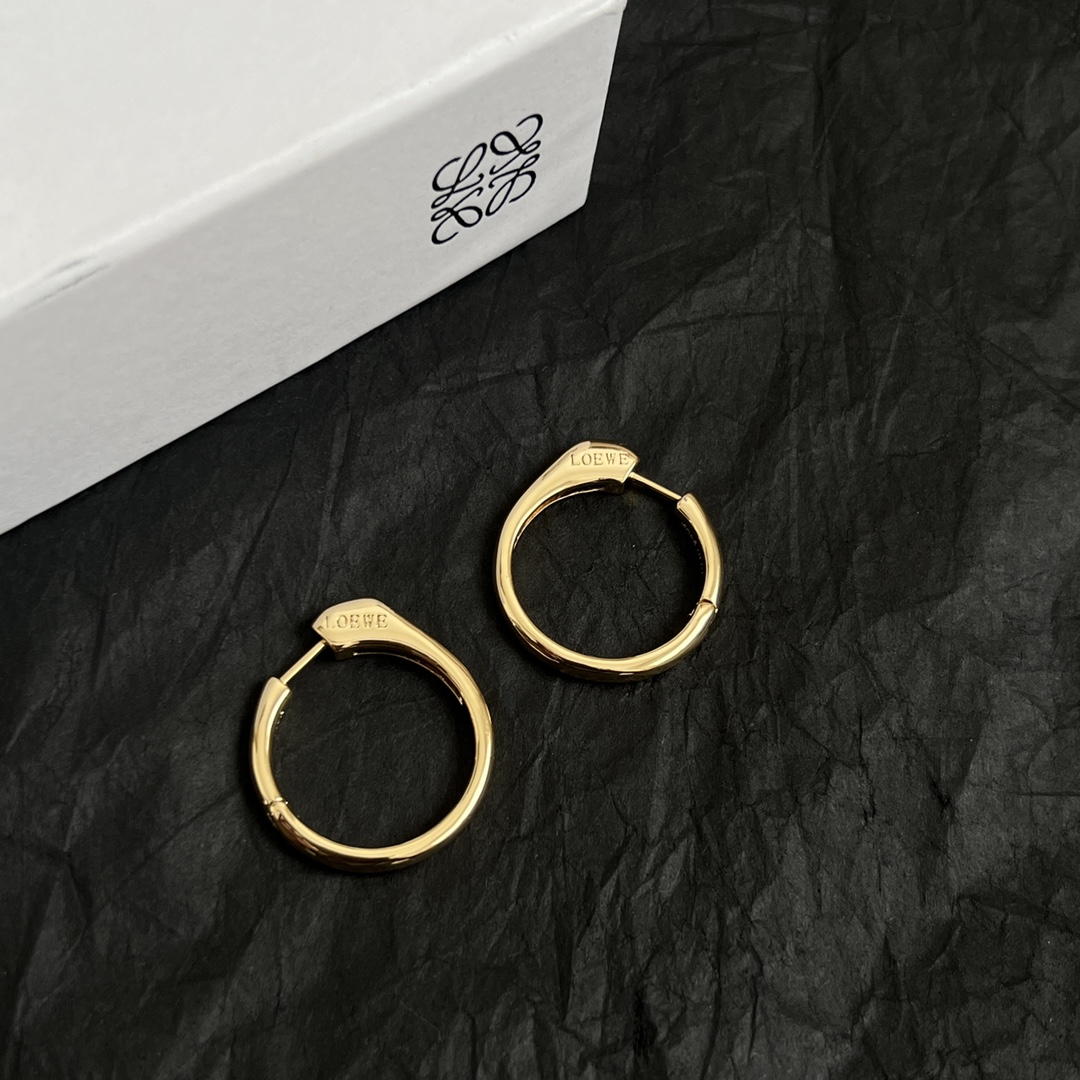 “Loewe Lodge Button: Sharp Metallic Look with ZP Brass Recapture Speculation” - 图片 4