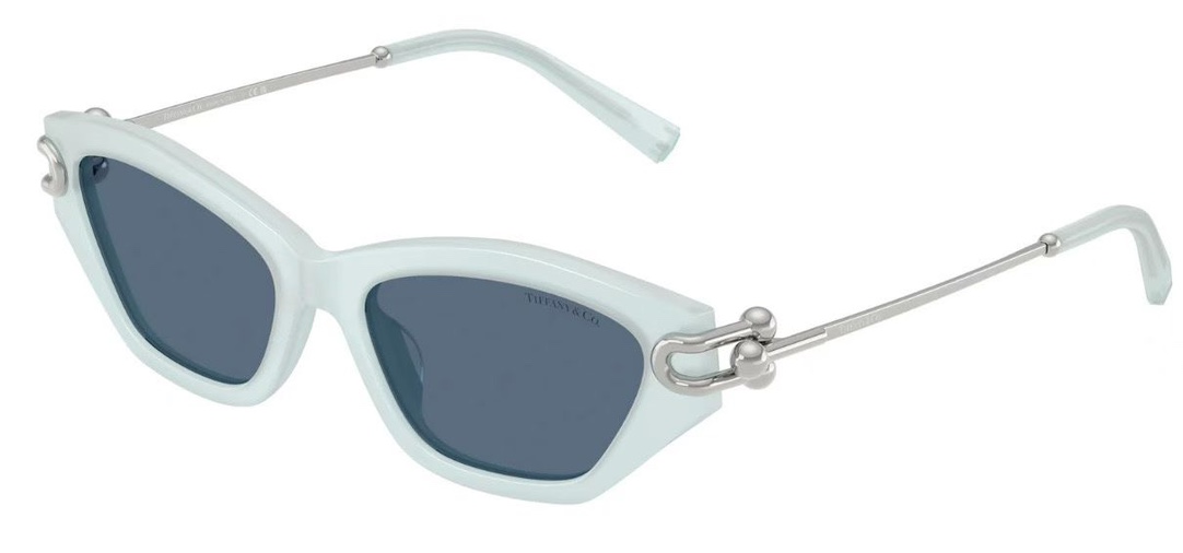  ‼️ 模特图 TIFFANY&Co.✨✨✨MODEL：TF4231U✨✨✨ SIZE：53口17-14