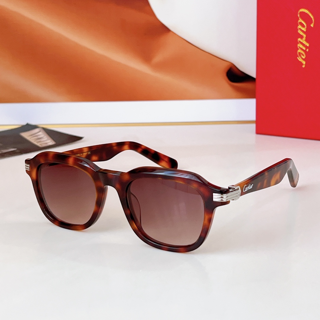  Cartie* 
MODEL：CT0536S 
SIZE  48-22-145
🔝🔝