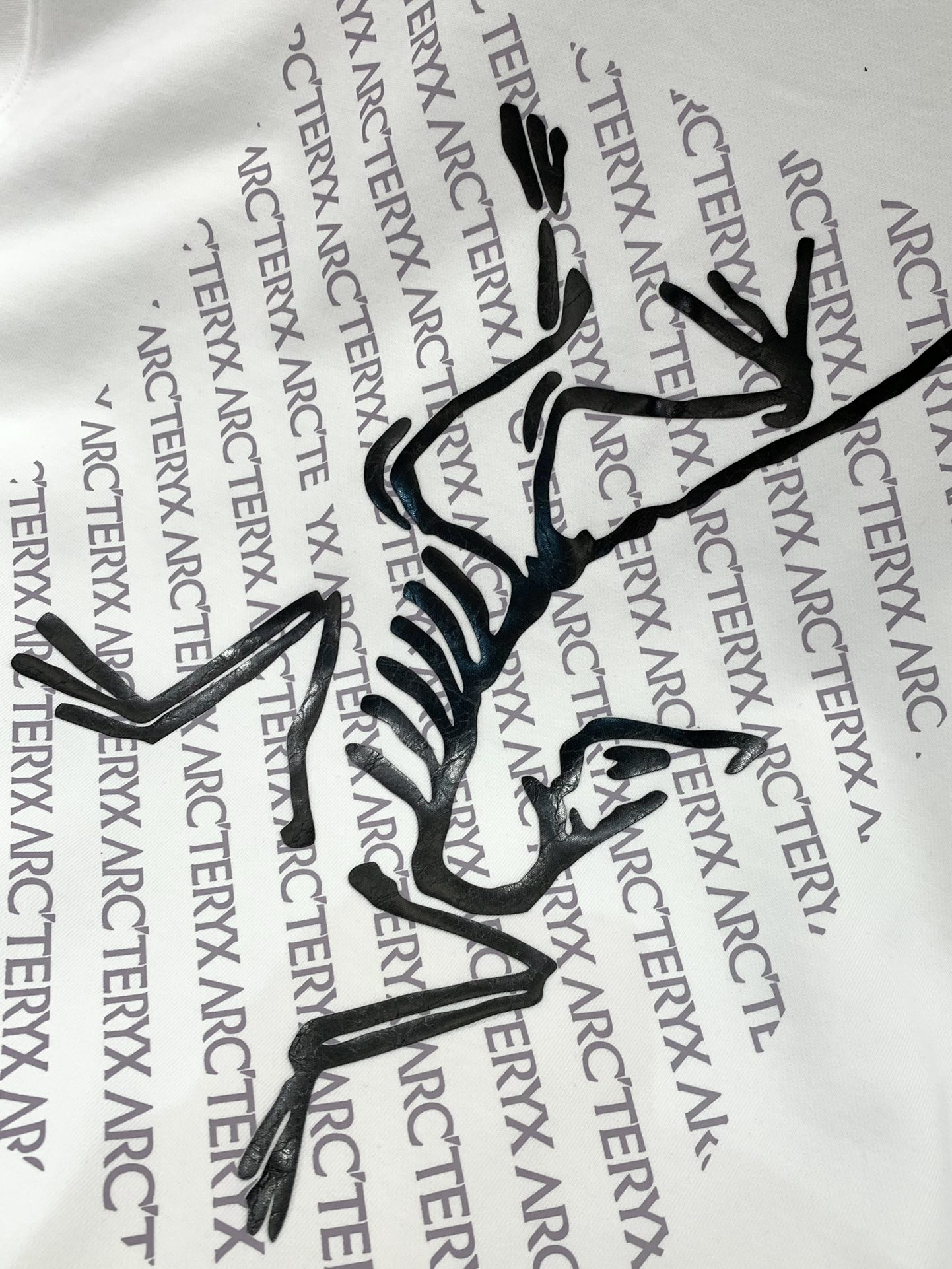 ，ARCTERYX 始祖鸟，2025早秋AW新品，时尚休闲圆领长袖卫衣，专柜同步有售，原单狠货，进口原版