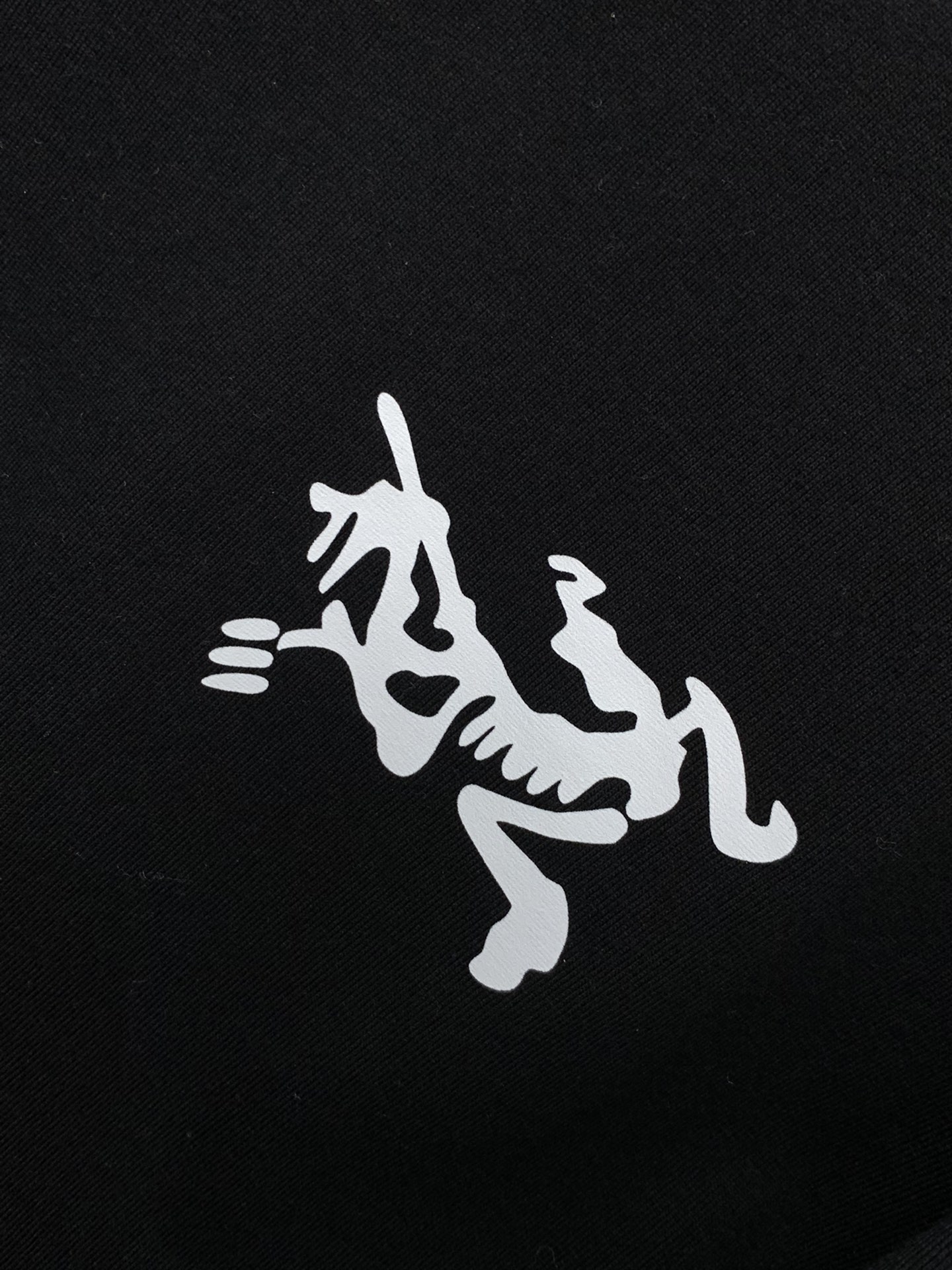 ，ARCTERYX 始祖鸟，2025早秋AW新品，时尚休闲圆领长袖T恤，专柜同步有售，原单狠货，进口原版