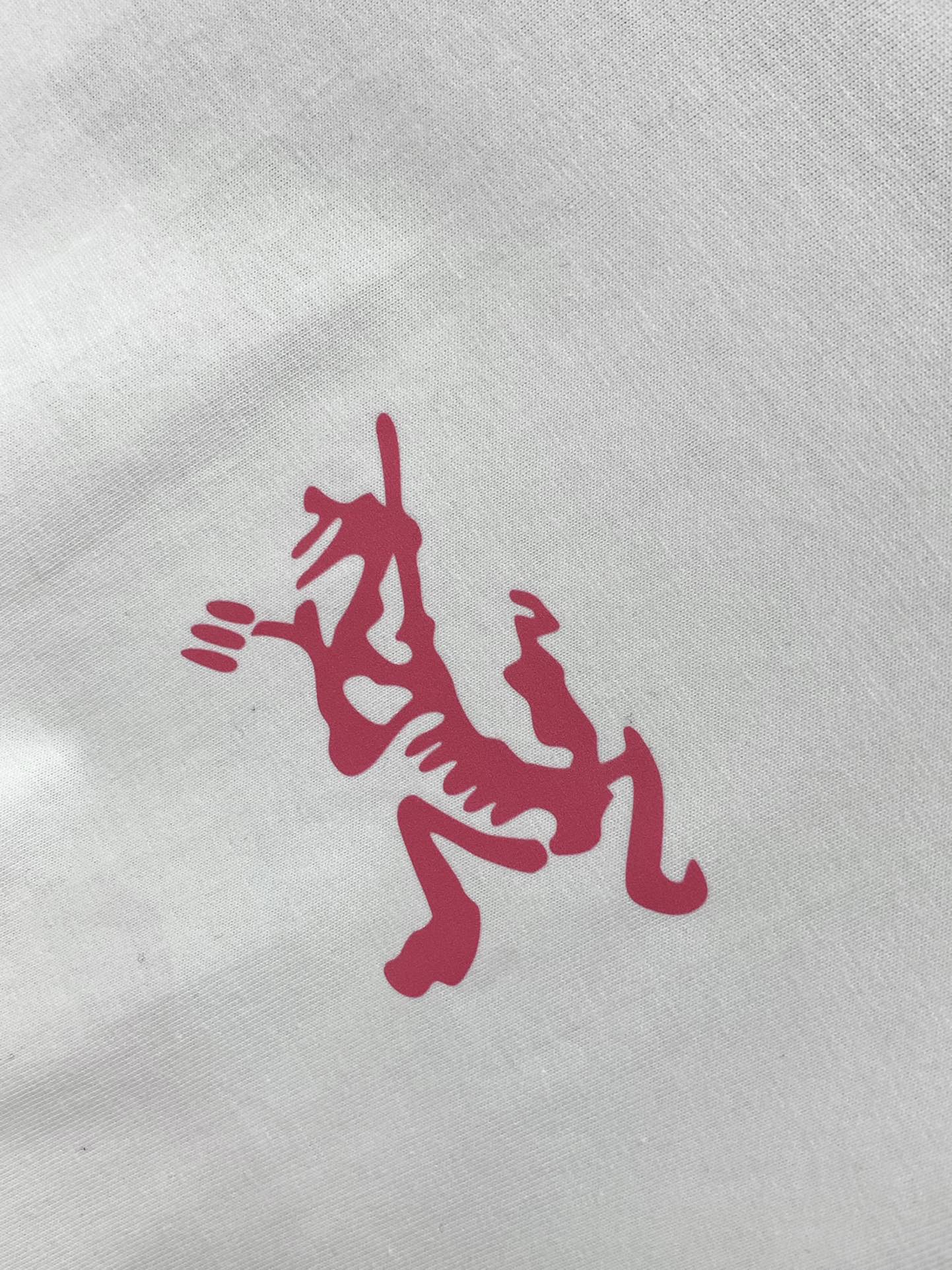 ，ARCTERYX 始祖鸟，2025早秋AW新品，时尚休闲圆领长袖T恤，专柜同步有售，原单狠货，进口原版