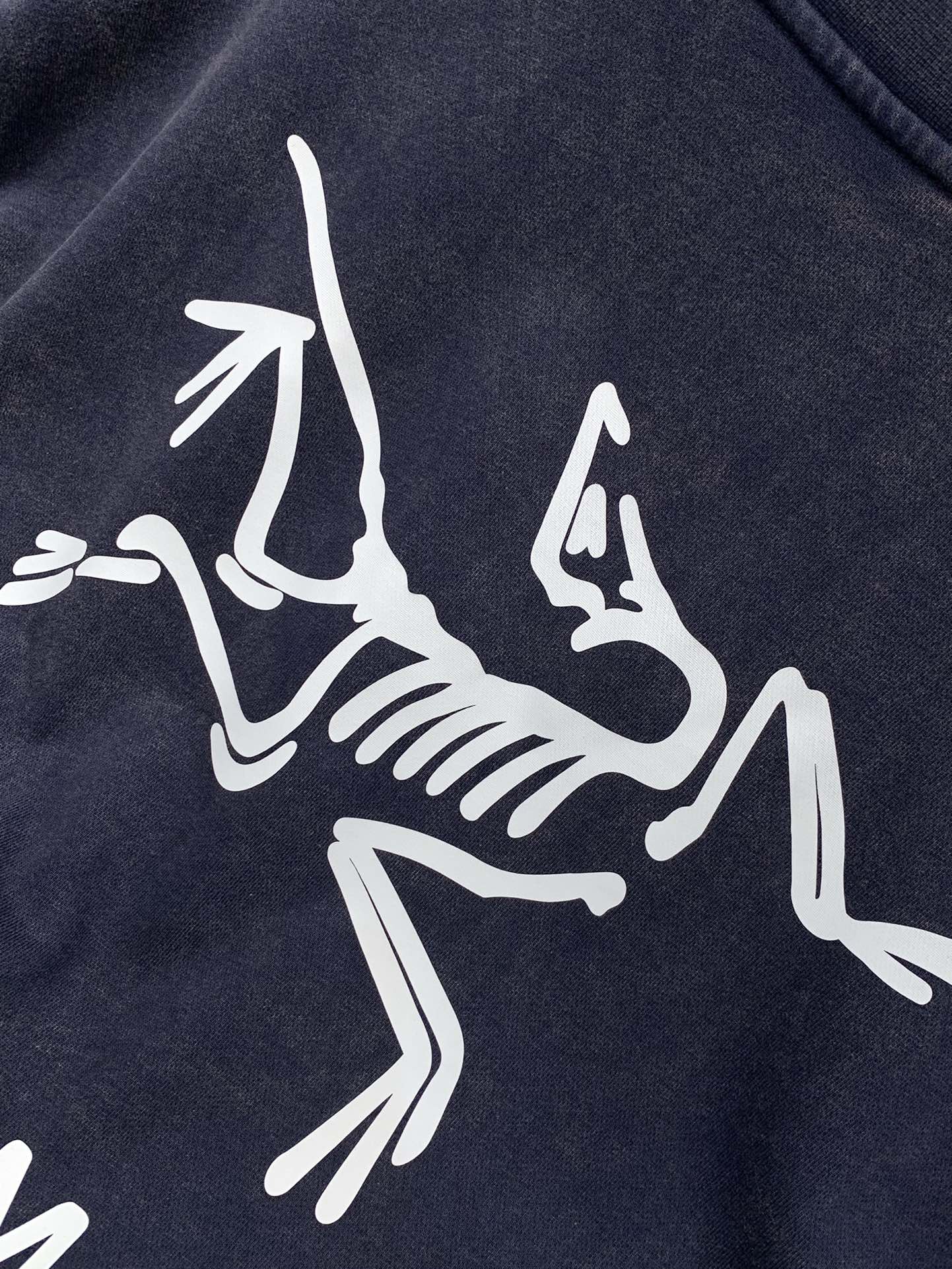 ，ARCTERYX 始祖鸟，2025早秋AW新品，时尚休闲圆领长袖卫衣，专柜同步有售，原单狠货，进口原版