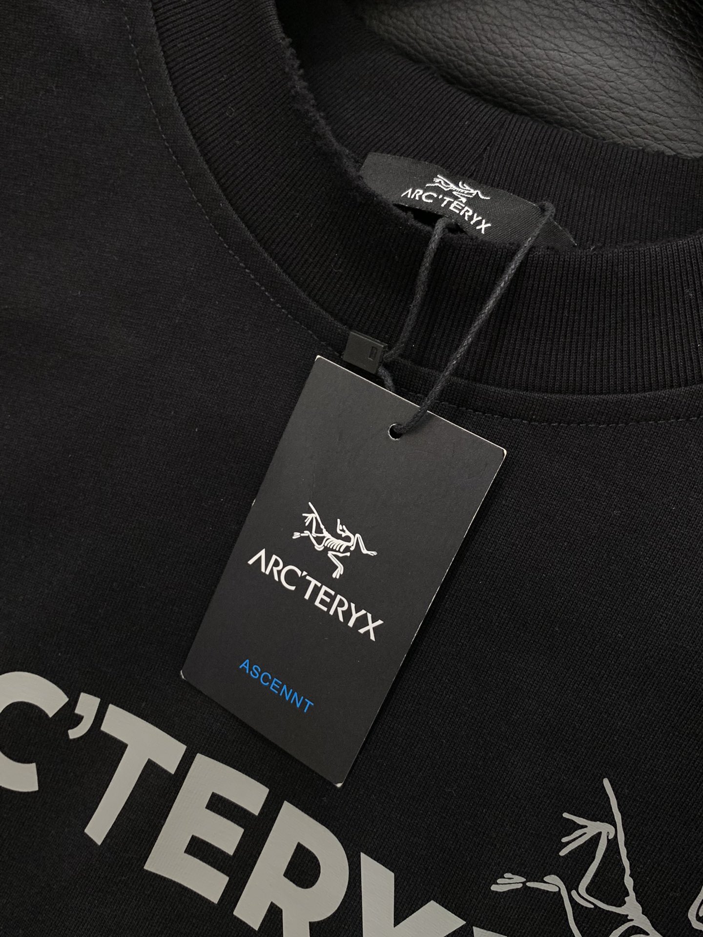 ，ARCTERYX 始祖鸟，2025早秋AW新品，时尚休闲圆领长袖卫衣，专柜同步有售，原单狠货，进口原版