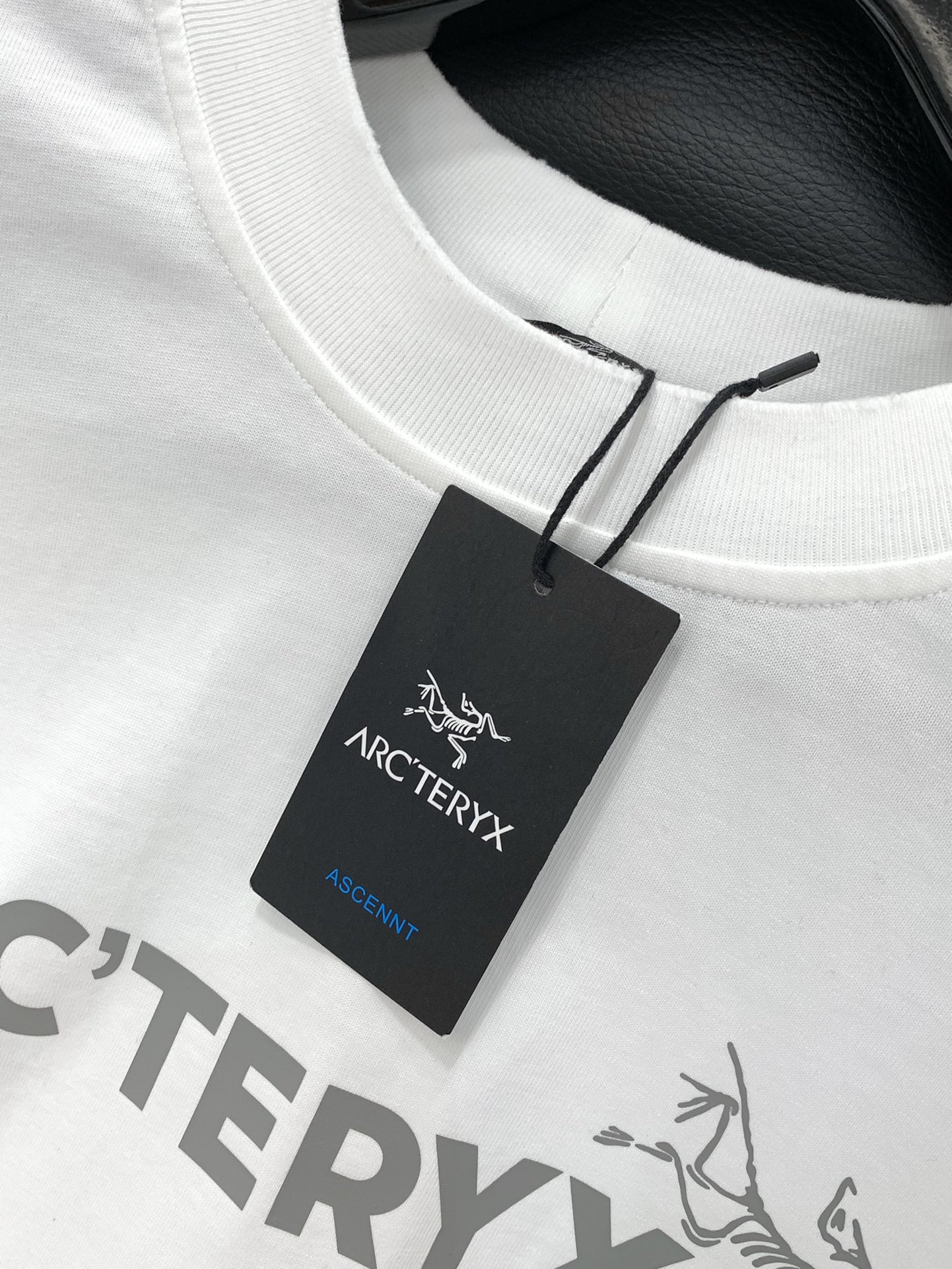 ，ARCTERYX 始祖鸟，2025早秋AW新品，时尚休闲圆领长袖卫衣，专柜同步有售，原单狠货，进口原版
