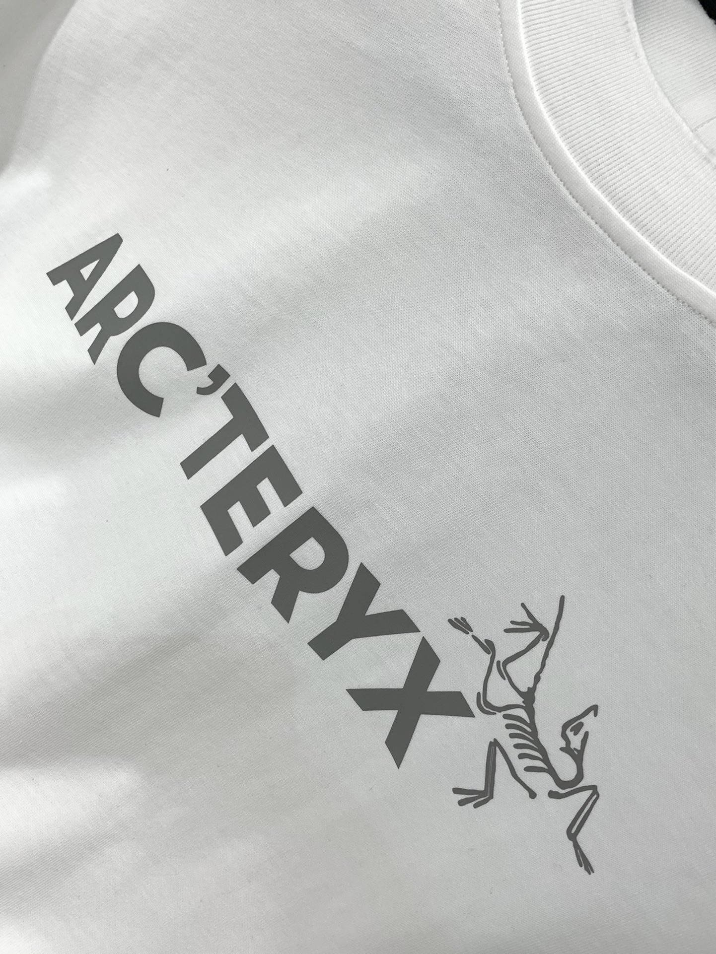 ，ARCTERYX 始祖鸟，2025早秋AW新品，时尚休闲圆领长袖卫衣，专柜同步有售，原单狠货，进口原版