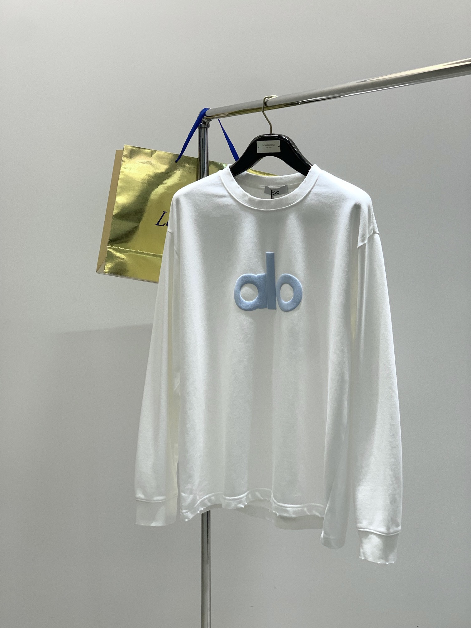 ，alo 阿洛，2025秋季最新款，专柜同步有售，原单狠货，时尚休闲圆领长袖T恤，上身很有特点！吸睛而有