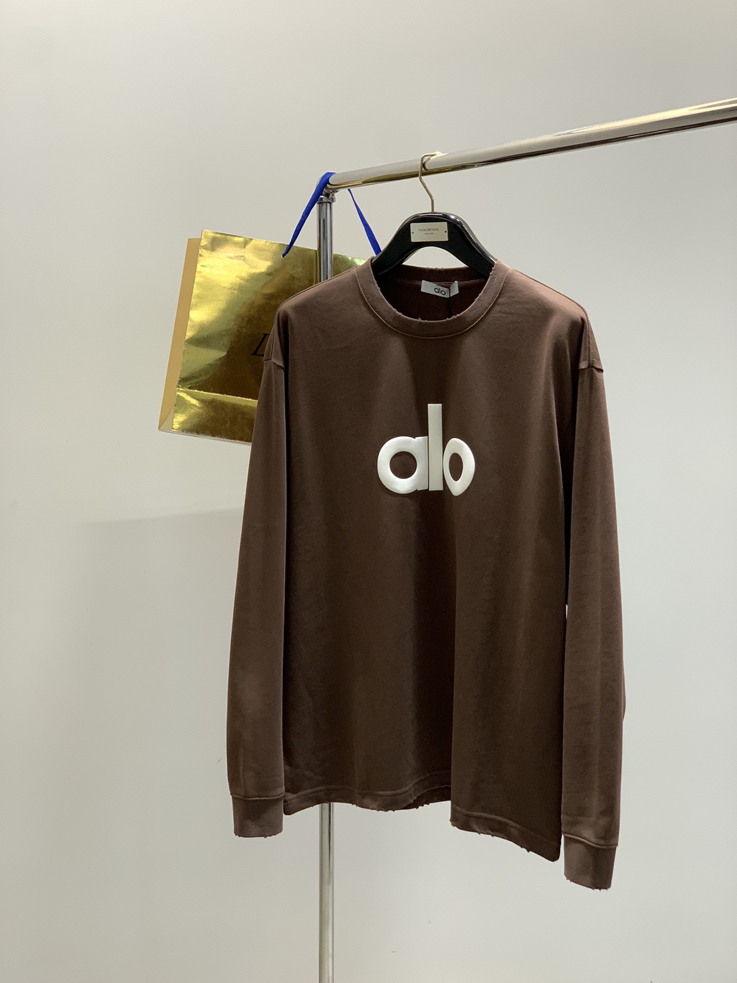 ，alo 阿洛，2025秋季最新款，专柜同步有售，原单狠货，时尚休闲圆领长袖T恤，上身很有特点！吸睛而有