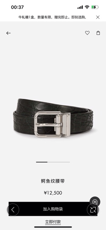Dolce&Gabbana Crocodile Leather Belt with Classic Roller Buckle