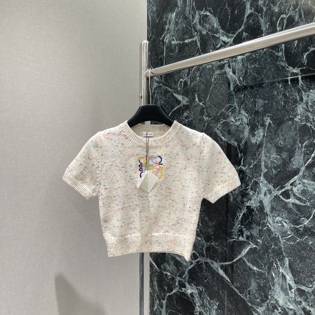 罗意威 25秋冬新款 撞色刺绣针织短袖 胸前重工撞色刺绣图腾与成衣相呼应 上身非常温柔 精致螺纹包边 形