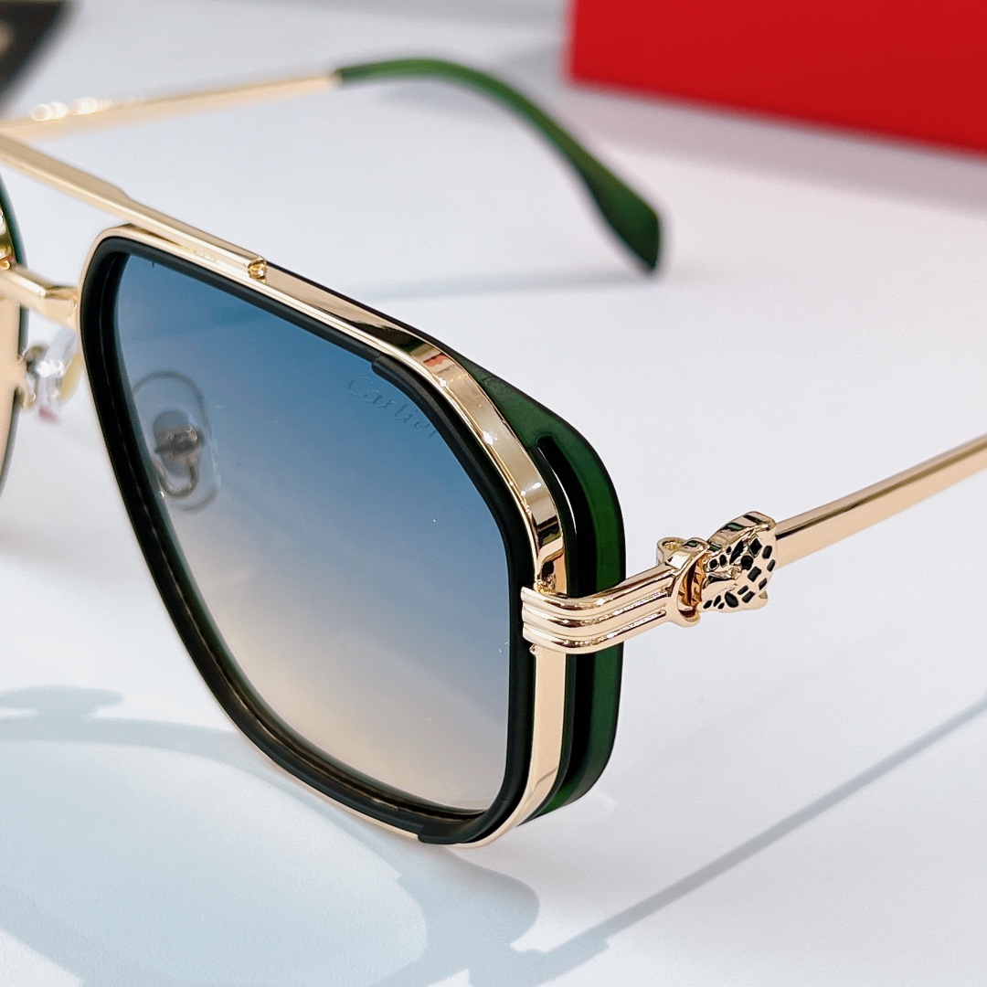 Cartie*MODEL：CT0693SIZE：53口21-140🔝🔝