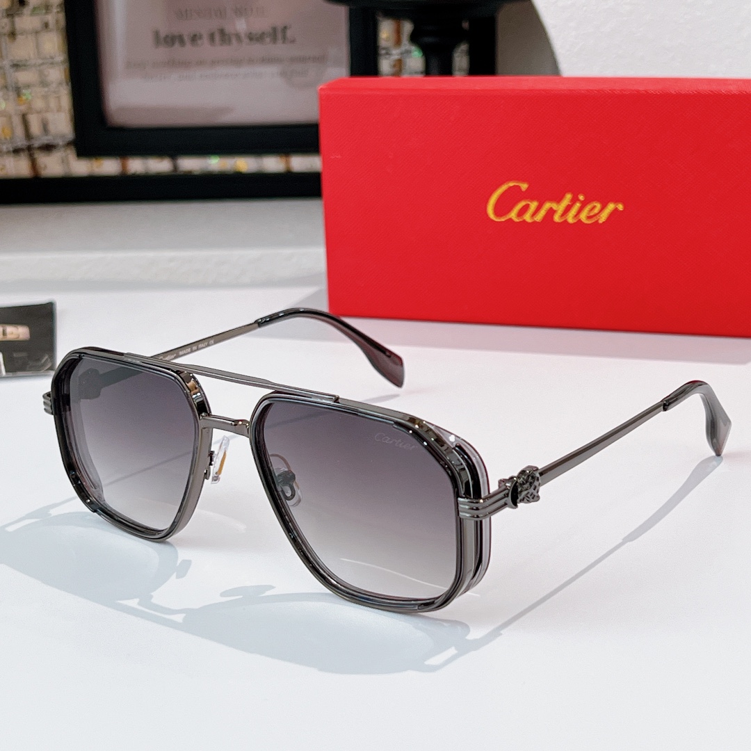 Cartie*MODEL：CT0693SIZE：53口21-140🔝🔝